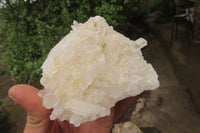 Natural Clear Quartz Crystal Clusters x 5 From Madagascar