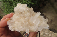 Natural Clear Quartz Crystal Clusters x 5 From Madagascar