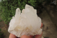 Natural Clear Quartz Crystal Clusters x 5 From Madagascar