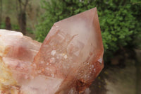 Natural Hematoid Quartz Specimens x 3 From Karoi, Zimbabwe