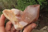 Natural Hematoid Quartz Specimens x 3 From Karoi, Zimbabwe