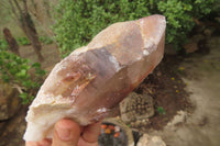 Natural Hematoid Quartz Specimens x 3 From Karoi, Zimbabwe