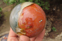 Polished Polychrome Jasper Spheres x 4 From Madagascar