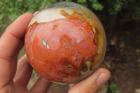 Polished Polychrome Jasper Spheres x 4 From Madagascar