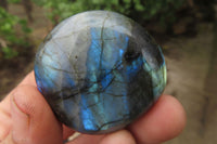 Polished Labradorite Palm Stones x 20 From Tulear, Madagascar