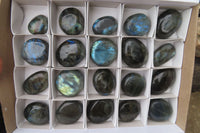 Polished Labradorite Palm Stones x 20 From Tulear, Madagascar