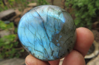 Polished Labradorite Palm Stones x 20 From Tulear, Madagascar