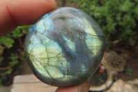 Polished Labradorite Palm Stones x 20 From Tulear, Madagascar