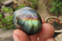 Polished Labradorite Palm Stones x 20 From Tulear, Madagascar