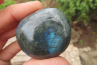 Polished Labradorite Palm Stones x 20 From Tulear, Madagascar