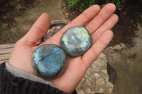 Polished Labradorite Palm Stones x 20 From Tulear, Madagascar