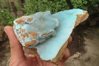 Natural Drusy Coated Chrysocolla Specimens x 2 From Congo