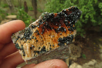 Natural Libethenite Crystals On Dolomite Matrix Specimens x 12 From Shituru, Congo