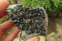 Natural Libethenite Crystals On Dolomite Matrix Specimens x 12 From Shituru, Congo