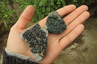 Natural Libethenite Crystals On Dolomite Matrix Specimens x 12 From Shituru, Congo