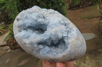 Polished Blue Celestite Egg Geode x 1 From Sakoany, Madagascar