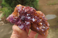 Natural Amethystos Amethyst Specimens x 35 From Kwaggafontein, South Africa