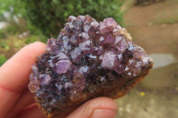 Natural Amethystos Amethyst Specimens x 35 From Kwaggafontein, South Africa