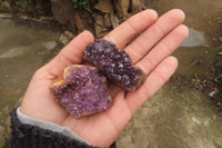 Natural Amethystos Amethyst Specimens x 35 From Kwaggafontein, South Africa