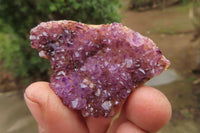 Natural Amethystos Amethyst Specimens x 35 From Kwaggafontein, South Africa