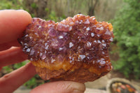 Natural Amethystos Amethyst Specimens x 35 From Kwaggafontein, South Africa