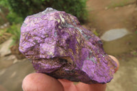 Natural Metallic Purpurite Cobbed Specimens x 12 From Erongo, Namibia