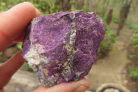 Natural Metallic Purpurite Cobbed Specimens x 12 From Erongo, Namibia