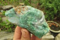 Natural Jade Cobbed Specimens x 12 From Swaziland