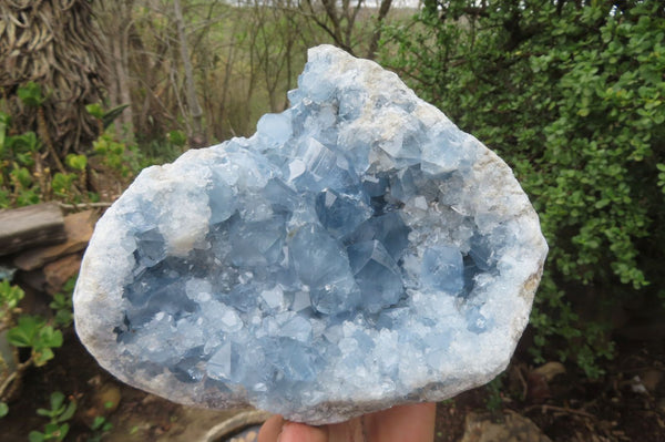 Natural Celestite Geode Specimen x 1 From Sakoany, Madagascar