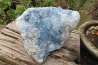 Natural Celestite Geode Specimen x 1 From Sakoany, Madagascar