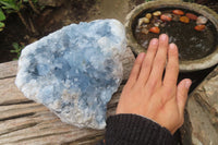 Natural Celestite Geode Specimen x 1 From Sakoany, Madagascar