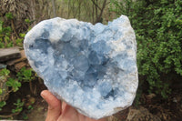 Natural Celestite Geode Specimen x 1 From Sakoany, Madagascar