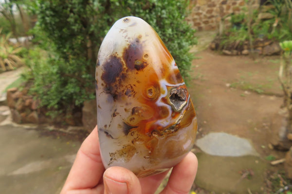 Polished Agate Standing Free Forms x 6 From Madagascar