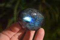 Polished Labradorite Palm Stones x 24 From Madagascar