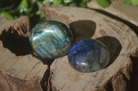 Polished Labradorite Palm Stones x 24 From Madagascar