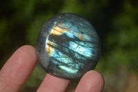 Polished Labradorite Palm Stones x 24 From Madagascar