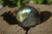 Polished Labradorite Palm Stones x 24 From Madagascar