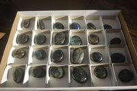 Polished Labradorite Palm Stones x 24 From Madagascar