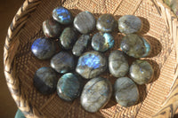 Polished Labradorite Palm Stones x 24 From Madagascar