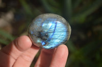 Polished Labradorite Palm Stones x 24 From Madagascar