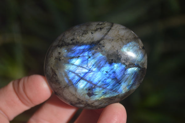 Polished Labradorite Palm Stones x 24 From Madagascar