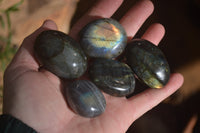 Polished Labradorite Palm Stones x 24 From Madagascar