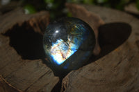 Polished Labradorite Palm Stones x 24 From Madagascar