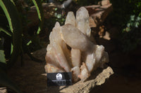 Polished Partially Smokey Quartz Cluster x 1 From Angola