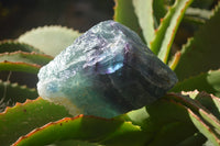 Natural Watermelon Fluorite Cobbed Specimens x 4 From Uis, Namibia