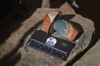 Polished Polychrome Jasper Mushrooms x 6 From Madagascar