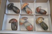 Polished Polychrome Jasper Mushrooms x 6 From Madagascar