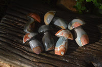 Polished Polychrome Jasper Mushrooms x 6 From Madagascar