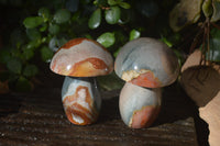 Polished Polychrome Jasper Mushrooms x 6 From Madagascar