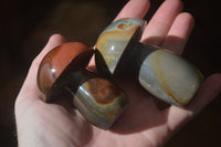 Polished Polychrome Jasper Mushrooms x 6 From Madagascar